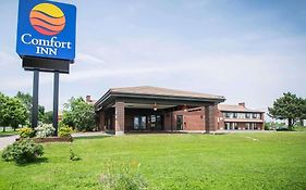 Comfort Inn Airport East